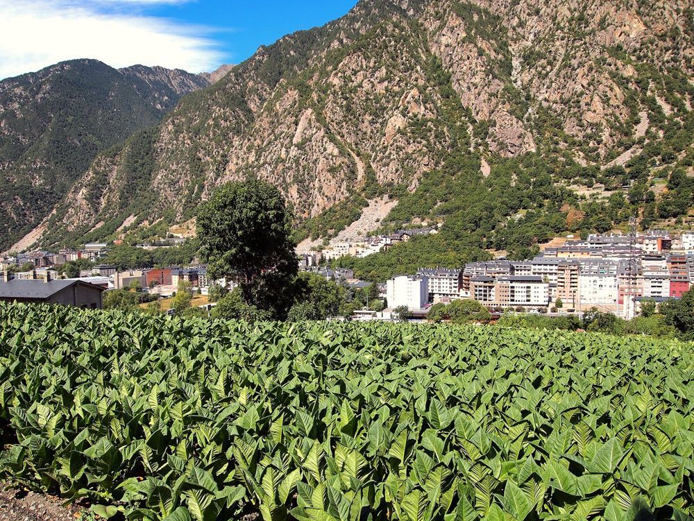 Andorre, paradis du shopping