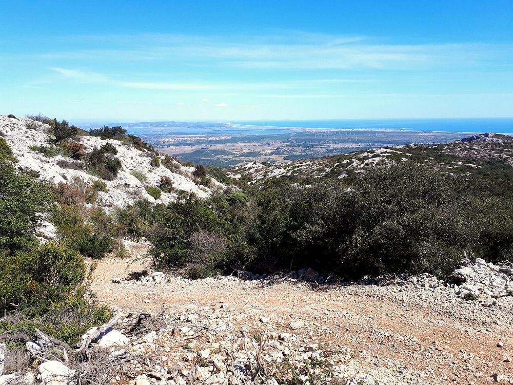 Quads au départ de Fitou